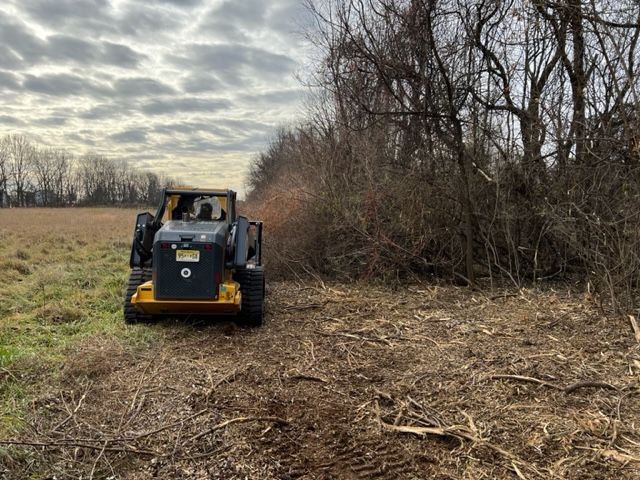 Forestry Mulching