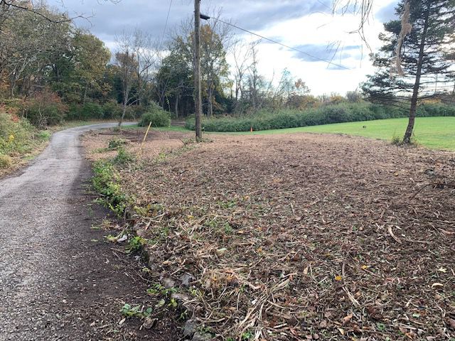 Forestry Mulching