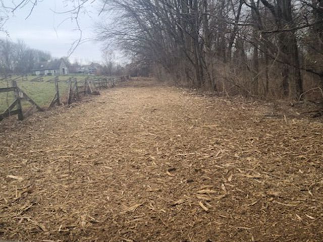 Forestry Mulching