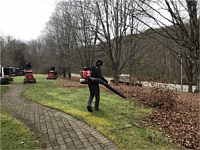 Seasonal Clean-Ups