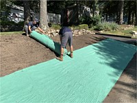 Lawn Installation and Repair