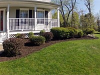 Landscaping Design