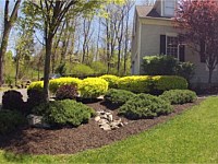 Landscaping Design