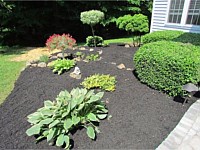 Landscaping Design