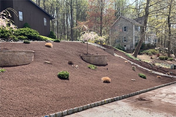 Mulching and Plantings