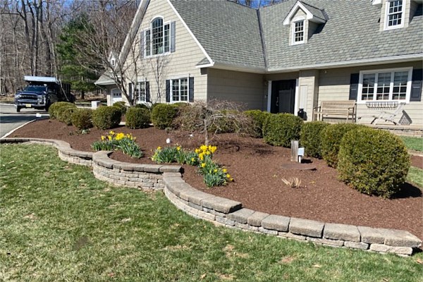 Mulching and Plantings