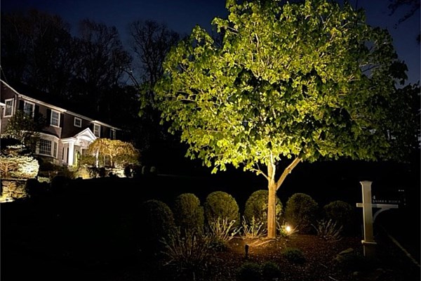 Landscape Lighting