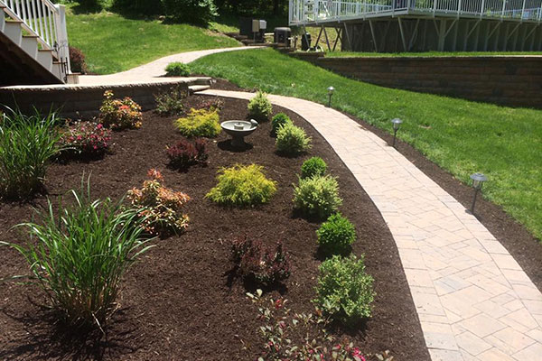 Mulching and Plantings