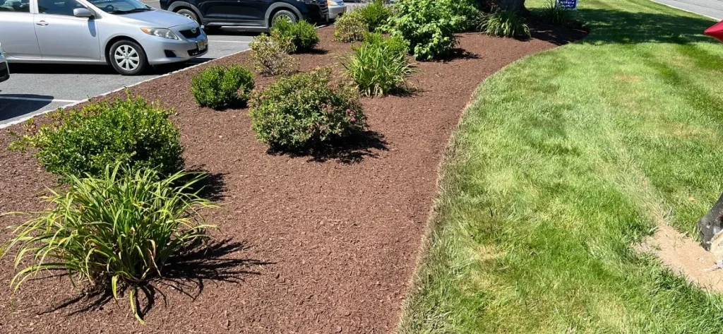 Adding Mulch To Garden Beds
