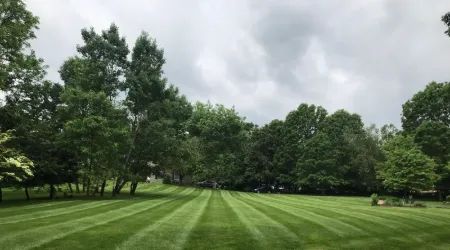 landscape-maintenance