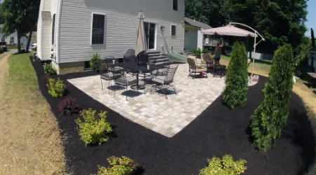 new-plantings