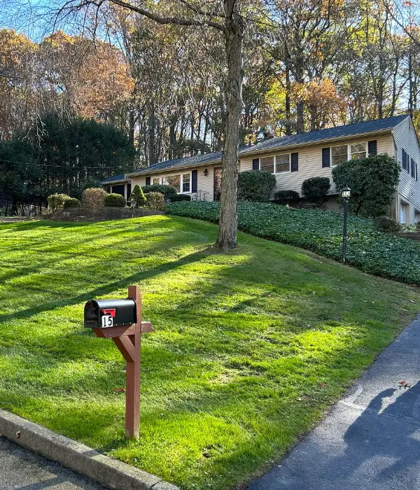How Much Do Small Curb Appeal Improvements To Landscaping Cost?