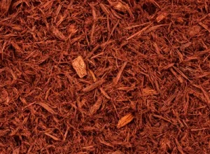 Hemlock Mulch
