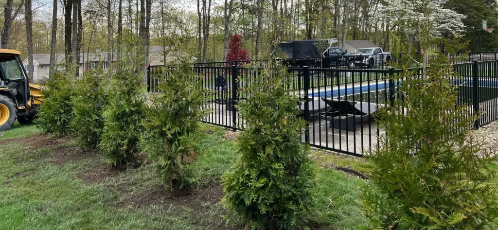 Planting A Privacy Hedge In New Jersey