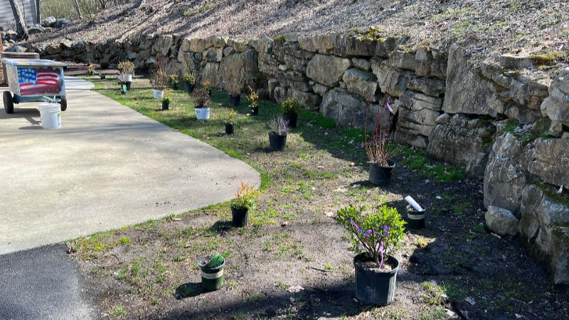 Mulch installation before