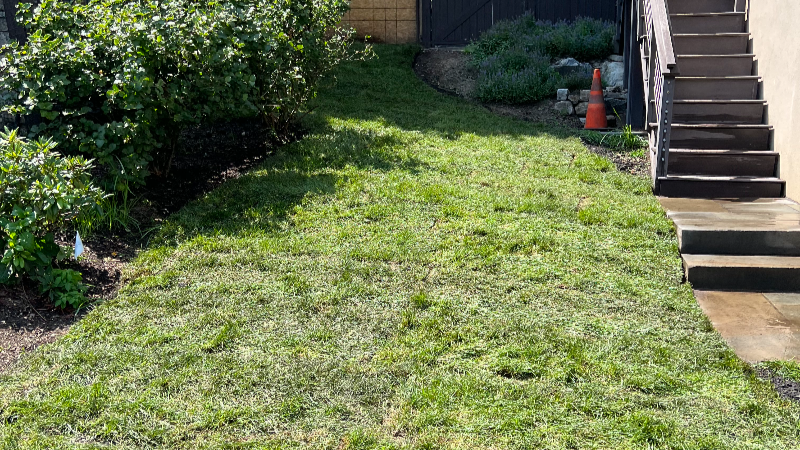 Sod installation after2