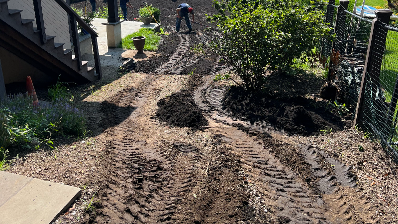 Sod installation before2