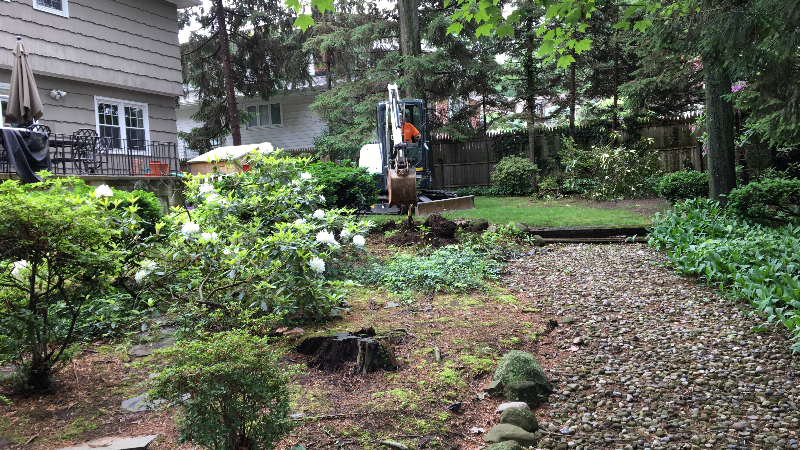 sod installation before1