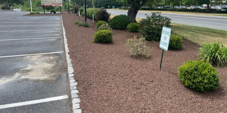 low maintenance front yard plants in Columbia, New Jersey